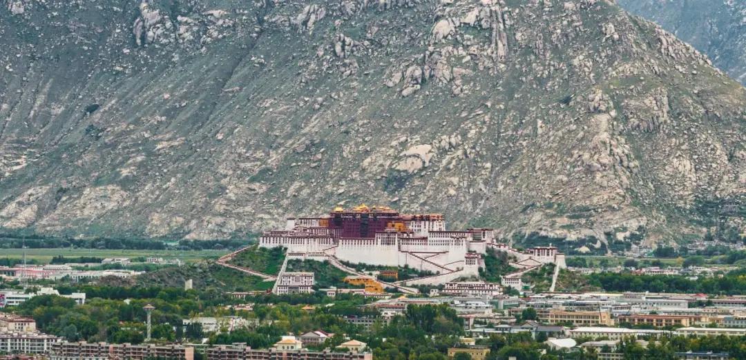 1742192254116142.jpg 1742192145547235.jpg